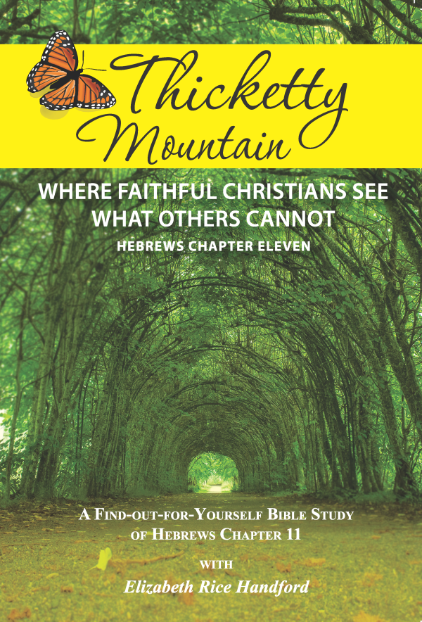 Thickety Mountain: Where Faithful Christians See